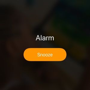 Meet your Posher, Ross